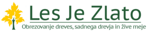 cropped-logo-original-900-green.png